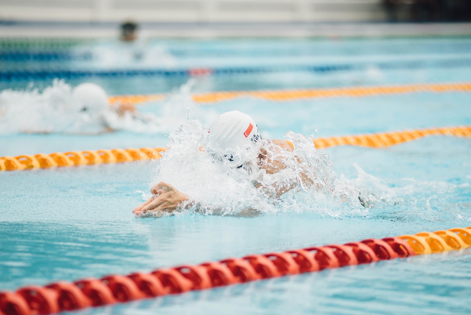 Die Grundlagen der Schwimmschul-Lehrpläne